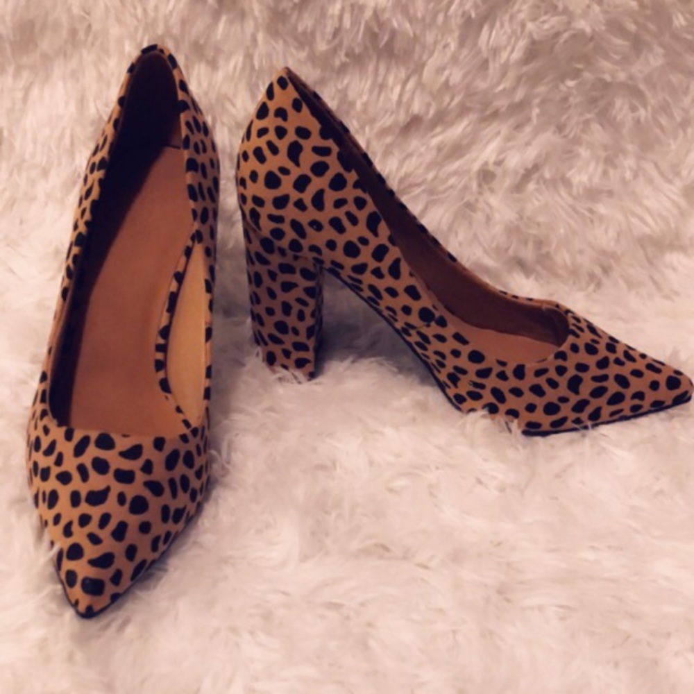 Bellflower Cheetah Print
